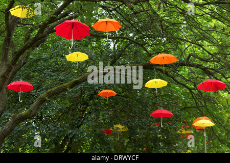 Rosso, arancione e giallo ombrelloni appesi in alberi Foto Stock