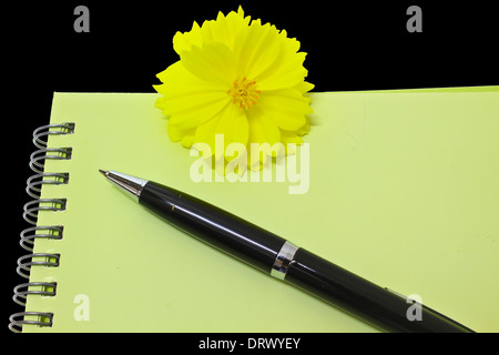 Penna appoggiata su notebook e fiore giallo isolato su sfondo nero Foto Stock