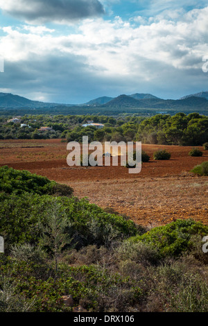 Bellissimo paesaggio mountain view mediterraneo spagna estate Foto Stock