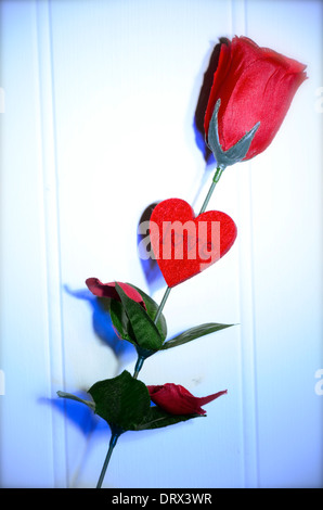 Una rosa rossa di amore per il giorno di San Valentino, fare una buona carta Foto Stock