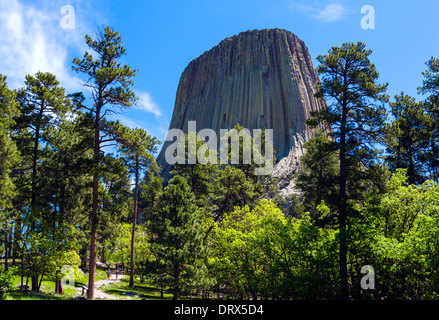 Walkers sotto Devils Tower National Monument, Crook County, Black Hills, Wyoming USA Foto Stock