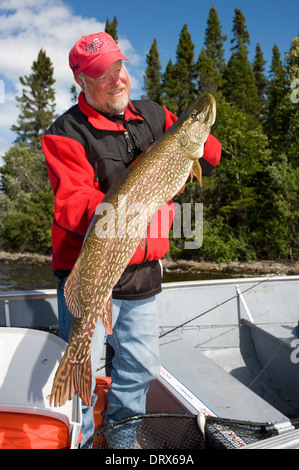 Fisherman tenendo in mano un grosso luccio del nord ha catturato da una barca sul lago nel nord Ontario, Canada Foto Stock