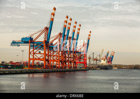 Abbandonato il terminale di porta di un porto per il carico e scarico delle navi da carico e il trasporto di merci con righe di grandi gru industriali per sollevare le merci fuori dal deck e dalle stive Foto Stock