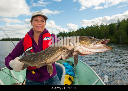 Donna pescatore tenendo in mano un grosso luccio del nord ha catturato da una barca sul lago nel nord Ontario, Canada Foto Stock