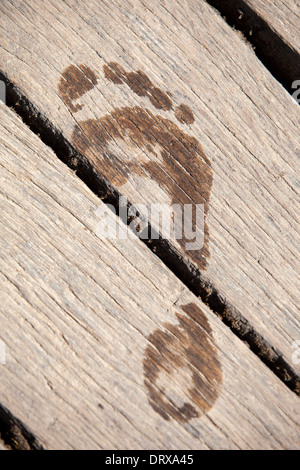 Footprint umido sul tavolato in legno Foto Stock