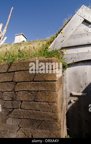 Canada, Terranova, L'Anse aux Meadows National Historic Site. Dettaglio della zolla ricostruito Norse struttura. Foto Stock