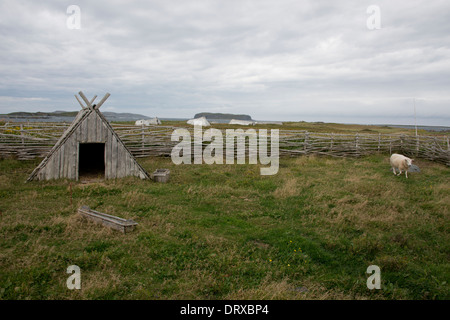 Canada, Terranova, L'Anse aux Meadows. Norstead Viking Village, replica di insediamento farm con penne di bestiame. Foto Stock