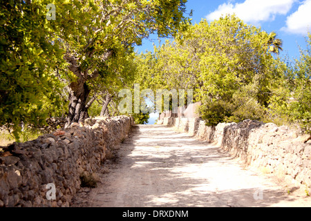 Sch?ne sommerliche medditerane landschaft strasse weg natur sonne Foto Stock