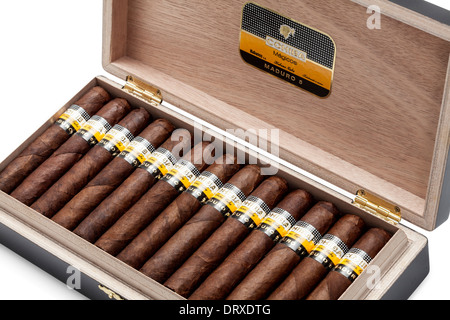 Cohiba Maduro 5 Magicos sigaro cubano Foto Stock