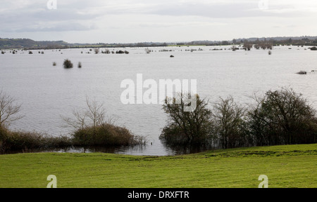 Campi allagati in Somerset livelli a causa di tempeste che hanno colpito il paese occidentale nel 2014 Foto Stock