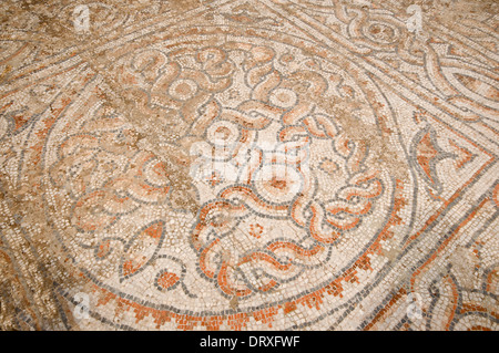 ASIA, la Turchia, Efeso, mosaico Alytarchs' Stoa (4A/V secolo D.C.) Foto Stock