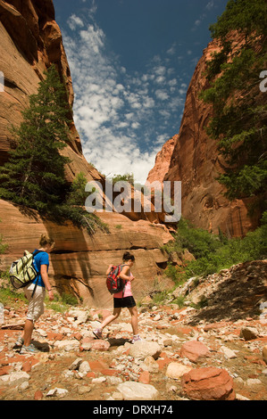 Persone escursionismo su un sentiero natura attraverso il deserto dello Utah. Foto Stock