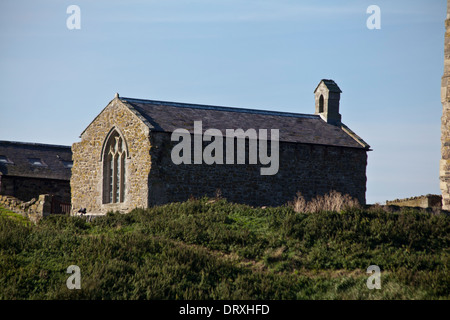 Farne interna Northumberland Foto Stock