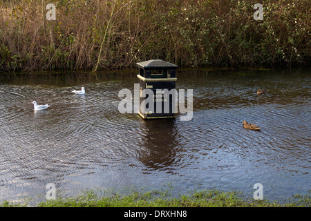 Regno Unito west sussex arundel 2014 fossato del castello nel diluvio Foto Stock