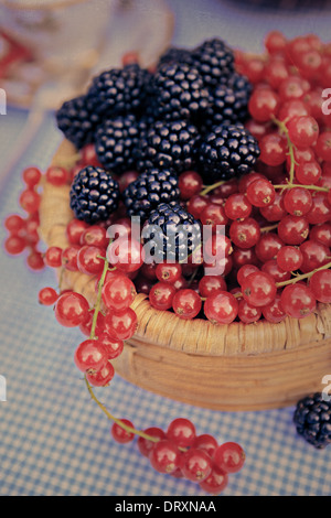 Una piastra con lamponi e ribes Foto Stock