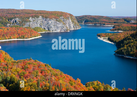 Fotografia aerea della superficie boschiva in Ontario del nord in autunno. Foto Stock