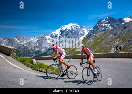 Lucidare i ciclisti ride roadbikes (Bottecchia anteriore) in salita al Passo dello Stelvio, il Passo dello Stelvio, dello Stelvio, nelle Alpi, Italia Foto Stock