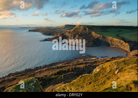 Favoloso nel tardo pomeriggio vista attraverso Chapman's Pool con il sole riflette il volto di Houns-tout Cliff. Dorset, Regno Unito Foto Stock