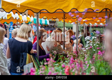 Stroud Mercato degli Agricoltori, GLOUCESTERSHIRE REGNO UNITO Foto Stock