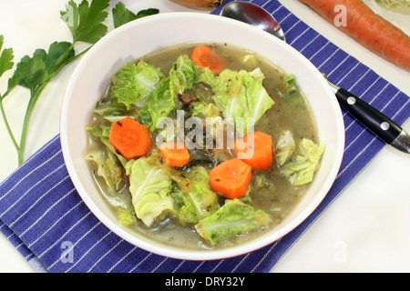 Un rosso ciotola con cavolo verza stufato di carne Foto Stock