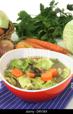 Un rosso ciotola con cavolo verza stufato di carne Foto Stock