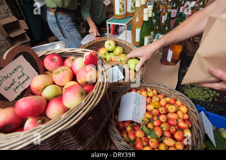 Raccolte a mano scoperta mele per vendita a Stroud Mercato degli Agricoltori, GLOUCESTERSHIRE REGNO UNITO Foto Stock