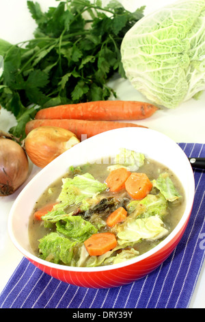 Un rosso ciotola con cavolo verza stufato di carne Foto Stock