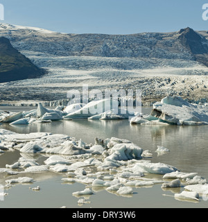 Iceberg galleggianti in fjallsarlon, ghiacciaio fjallsjokull, Islanda Foto Stock