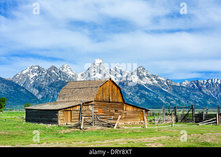 Fienile su una vecchia fattoria sulla storica mormone fila, Grand Teton National Park, Jackson Hole valley, Wyoming USA Foto Stock