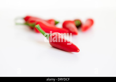 Hot peperoncini rossi-Tabasco peperoni- capsicum frutescens. Foto Stock