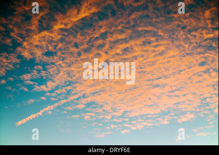 I ciuffi di Nuvole rosa contro un azzurro Cielo di tramonto, Salida, Colorado, STATI UNITI D'AMERICA Foto Stock