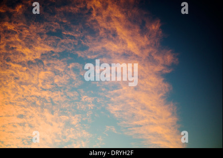 I ciuffi di Nuvole rosa contro un azzurro Cielo di tramonto, Salida, Colorado, STATI UNITI D'AMERICA Foto Stock