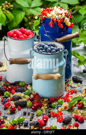 Appena raccolto frutti di bosco frutti in estate Foto Stock