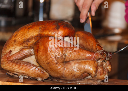 Giorno del Ringraziamento turchia pronto a carve per la cena a Spring, Texas. Foto Stock