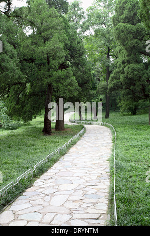 Stone Road nel Forest park Foto Stock
