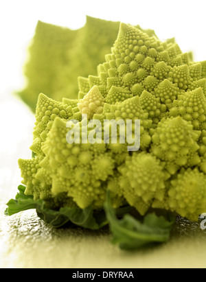 Ancora la vita di tre romanesco cavolfiore o teste di broccoli. Foto Stock