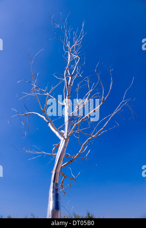 Split da Roxy Paine, un acciaio inossidabile lucidato albero come scultura all'Olympic scultura Park, Seattle, Stati Uniti d'America Foto Stock