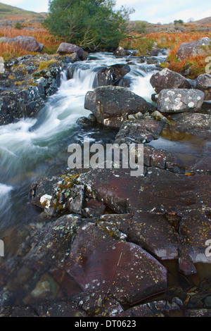 Gritstone rosse rocce in alveo lungo il Afon Artro, Rhinogydd, Snowdonia National Park, il Galles Foto Stock