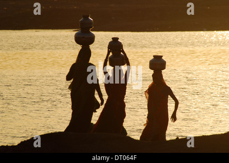 Le donne il recupero di acqua in una diga ( India) Foto Stock