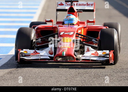 Il naso della Ferrari F14 T di Fernando Alonso (ESP) durante la Formula Uno, test di Jerez, Spagna Feb.2014 Foto Stock