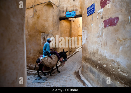 Uomo a cavallo di un asino in una strada stretta ( Marocco) Foto Stock