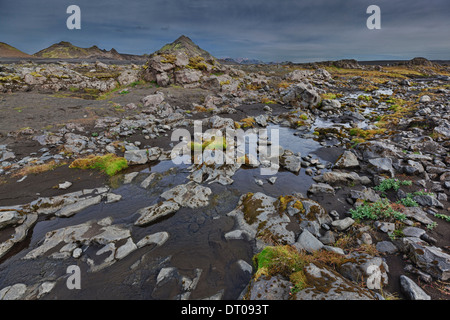 Il letto del fiume si trova in Emstrua, Highlands Centrali, Islanda Foto Stock