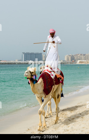 Corsa in cammello sulla spiaggia di Marina District di New Dubai negli Emirati Arabi Uniti Foto Stock