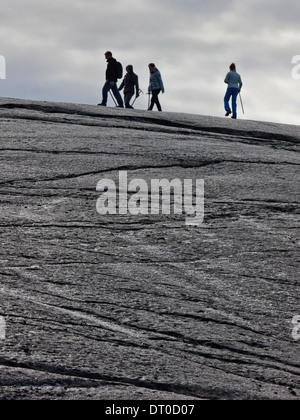 La gente che camminava sul ghiacciaio Svinafellsjokull, Islanda Foto Stock