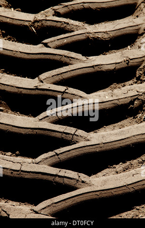 La carreggiata dei pneumatici del trattore in un campo agricolo. Foto Stock