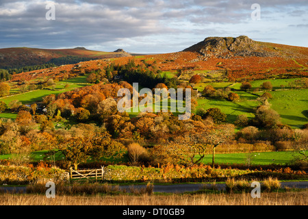 Vista su Dartmoor durante l'Autunno Foto Stock