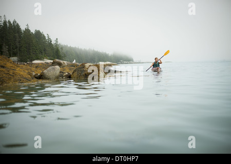 Lo stato di New York STATI UNITI D'AMERICA uomo canoa kayak su acqua calma misty condizioni Foto Stock