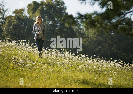 Woodstock New York STATI UNITI D'AMERICA giovane donna camminare in fiore selvatico prato Foto Stock