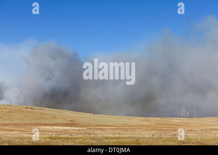 Stato di Washington Stati Uniti grande incendio di foresta Ellensburg Kittitas county Foto Stock