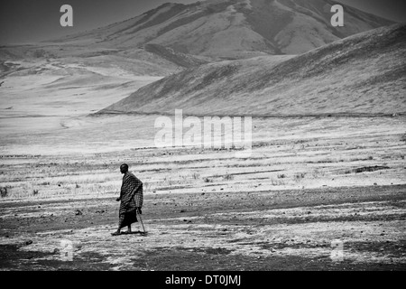 Un lone guerriero Masai attende il suo bestiame nel cratere di Ngorongoro Conservation Area, Tanzania Foto Stock